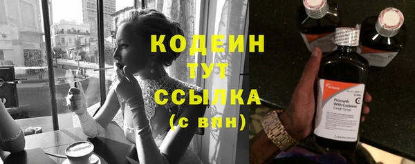 индика Зеленодольск