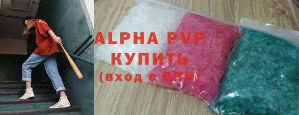 индика Зеленодольск