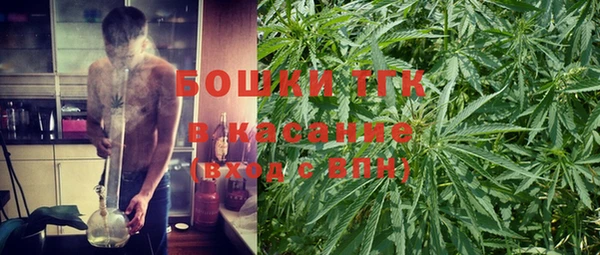 индика Зеленодольск