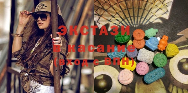 индика Зеленодольск