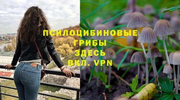 герыч Зеленокумск