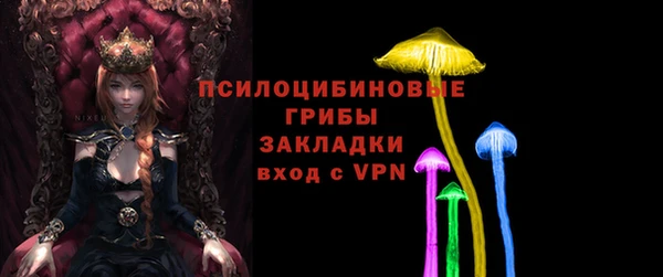 индика Зеленодольск