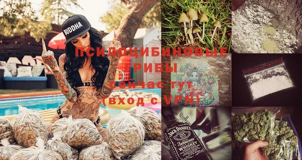 индика Зеленодольск