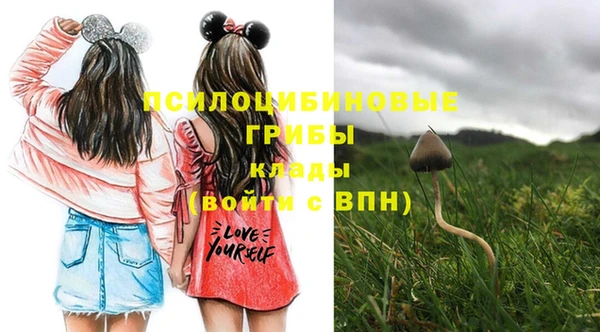 герыч Зеленокумск