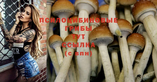 герыч Зеленокумск