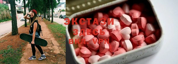 индика Зеленодольск