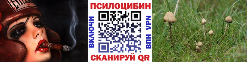 Купить где  Нариманов  Псилоцибиновые грибы прущие грибы 